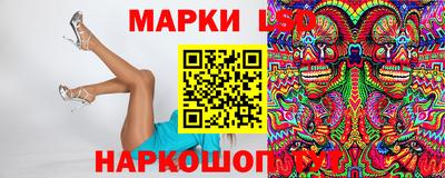 прущие грибы Кандалакша