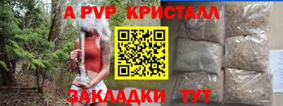 прущие грибы Кандалакша