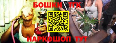 прущие грибы Кандалакша