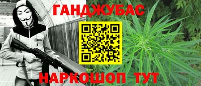 прущие грибы Кандалакша