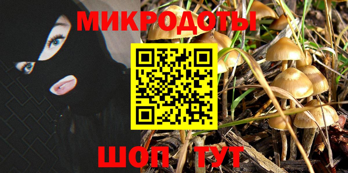 Галлюциногенные грибы мухоморы  Вход с VPN  Кропоткин 