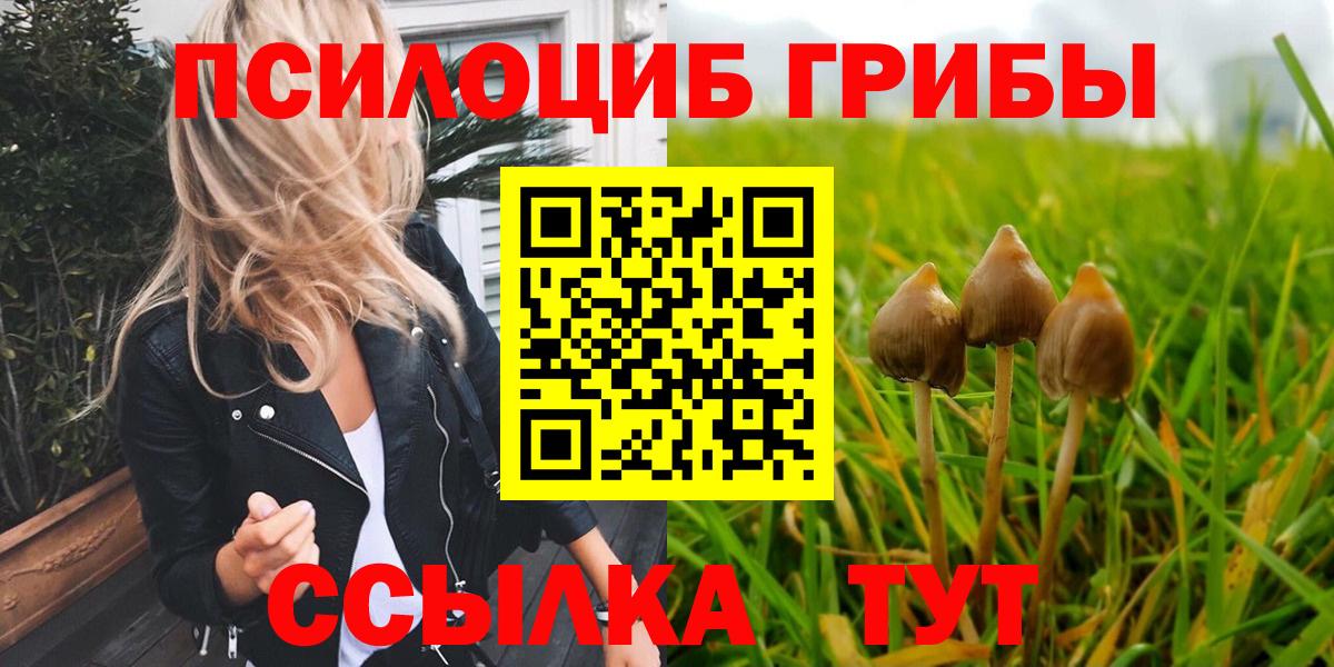Галлюциногенные грибы Cubensis Кропоткин